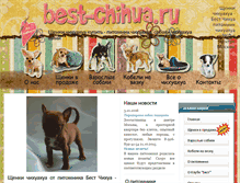 Tablet Screenshot of best-chihua.ru